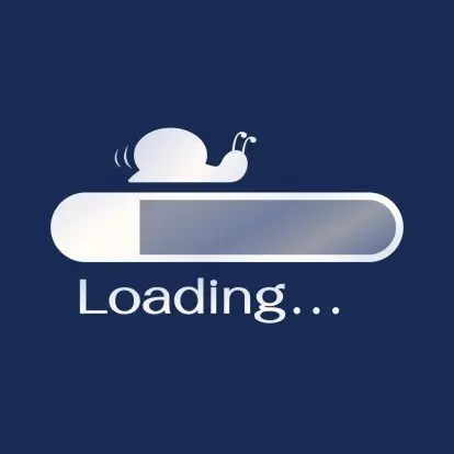 Why Does a WordPress Site Become Slow?